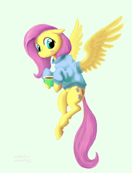 1300599 Safe Artist Adeptus Monitus Derpibooru Import Fluttershy