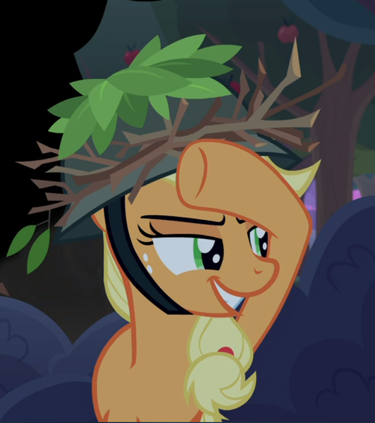 Safe Derpibooru Import Screencap Applejack Earth Pony