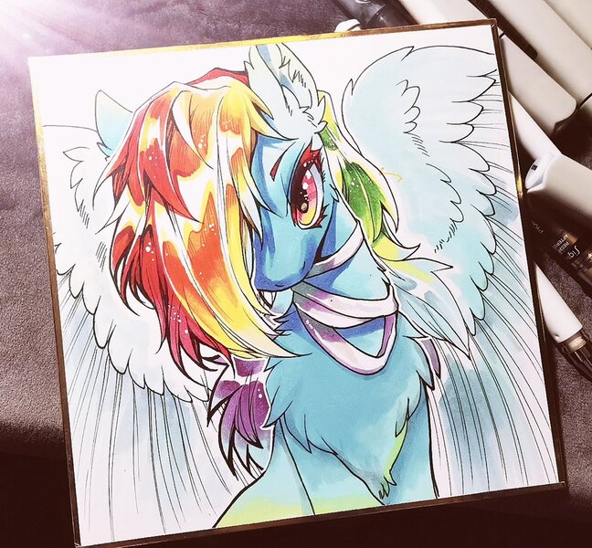 Safe Artist Swaybat Derpibooru Import Rainbow Dash