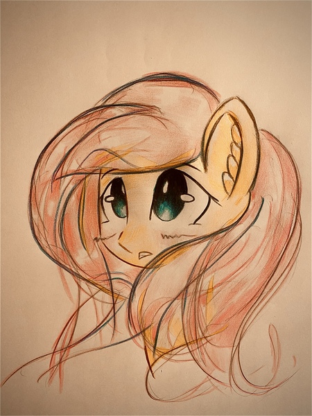 2483627 Safe Artist Stardust0130 Derpibooru Import Fluttershy