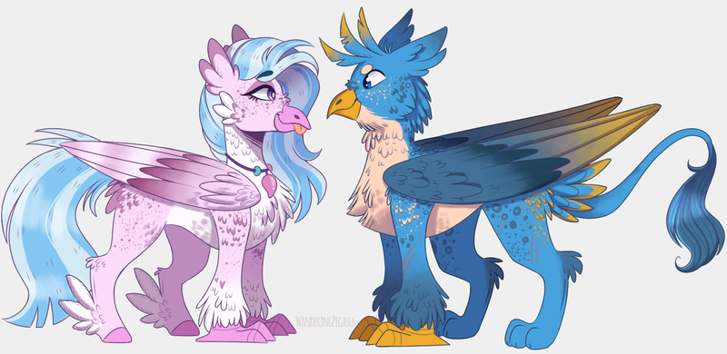 Size: 1781x868 | Tagged: safe, artist:wanderingpegasus, gallus, silverstream, classical hippogriff, gryphon, hippogriff, cheek fluff, chest fluff, duo, ear fluff, female, fluffy, gallstream, male, shipping, straight