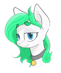 Size: 1536x1831 | Tagged: artist needed, source needed, safe, oc, oc:zephyr, oc:zephyr cloudrunner, unofficial characters only, pegasus, pony, fanfic:zephyr, beanbrows, bust, collar, eyebrows, eyebrows visible through hair, female, image, lidded eyes, looking at you, mare, pet tag, png, pony pet, simple background, smiling, smirk, smug, solo, transparent background