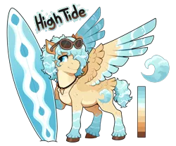 Size: 900x750 | Tagged: safe, artist:lastnight-light, oc, oc:high tide, pegasus, pony, colored wings, male, multicolored wings, reference sheet, simple background, socks (coat marking), solo, spread wings, stallion, sunglasses, surfboard, tail feathers, transparent background, unshorn fetlocks, wings