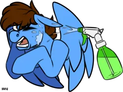 Size: 1032x774 | Tagged: safe, artist:lrusu, oc, oc:pegasusgamer, unofficial characters only, pegasus, pony, annoyed, bust, eye clipping through hair, one eye closed, open mouth, simple background, solo, spray bottle, transparent background, water, wings