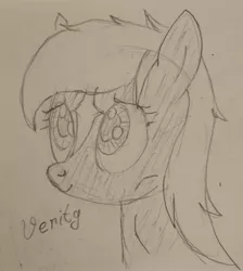 Size: 2441x2726 | Tagged: source needed, safe, artist:anonymous, ponified, ponified:verity, unofficial characters only, earth pony, pony, art pack:marenheit 451 post-pack, /mlp/, 4chan, cute, female, filly, image, jpeg, monochrome, smiling, solo, traditional art, verity