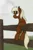 Size: 600x900 | Tagged: source needed, safe, artist:ahorseofcourse, ponified, ponified:verity, unofficial characters only, earth pony, pony, female, fence, filly, looking up, smiling, solo, verity