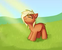 Size: 989x800 | Tagged: artist needed, source needed, safe, artist:neuro, ponified, ponified:verity, unofficial characters only, earth pony, pony, art pack:marenheit 451 post-pack, eyes closed, female, filly, grass, grass field, image, png, smiling, solo, sunshine, verity