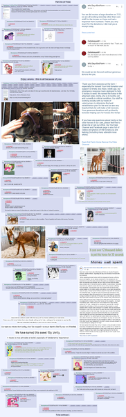Size: 1432x4719 | Tagged: safe, screencap, horse, /mlp/, 4chan, image, irl, irl horse, png, verity
