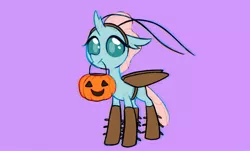 Size: 1684x1020 | Tagged: artist:dawnfire, bucket, changedling, changeling, clothes, cockroach costume, costume, female, halloween, halloween costume, holiday, mouth hold, ocellus, purple background, safe, simple background, solo