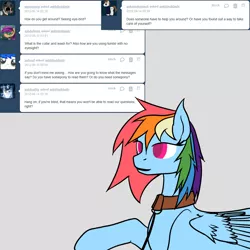 Size: 900x900 | Tagged: askblinddash, collar, derpibooru import, leash, rainbow dash, safe