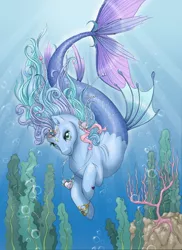Size: 600x826 | Tagged: artist:baby-blue-bell, derpibooru import, hippocampus, merpony, oc, safe, underwater, unofficial characters only