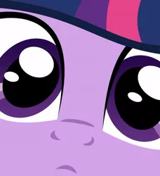 Size: 500x549 | Tagged: artist needed, safe, derpibooru import, twilight sparkle, pony, close up series, close-up, extreme close up, solo, stare