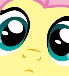 Size: 500x549 | Tagged: close-up, close up series, derpibooru import, extreme close up, fluttershy, safe, solo, stare