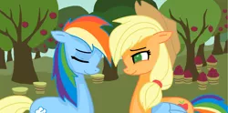 Size: 1996x988 | Tagged: safe, artist:zaikersonic42, derpibooru import, applejack, rainbow dash, earth pony, pegasus, pony, fanfic, fanfic:those blue wings, apple, apple tree, appledash, bedroom eyes, earth pony rainbow dash, eyes closed, fanfic art, female, flapplejack, food, lesbian, mare, race swap, shipping, smiling, tail swap, tree