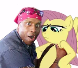 Size: 414x362 | Tagged: derpibooru import, fluttershy, human, meme, safe