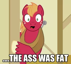 Size: 640x578 | Tagged: safe, derpibooru import, big macintosh, earth pony, pony, arthur, image macro, male, meme, parody, stallion, the ass was fat, vulgar