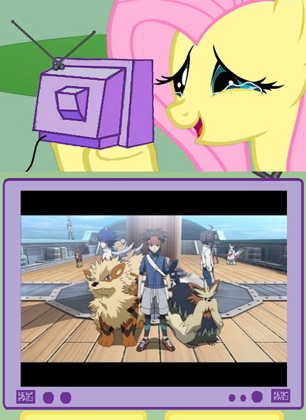 Size: 563x771 | Tagged: safe, derpibooru import, fluttershy, arcanine, human, liepard, pony, samurott, stoutland, zangoose, exploitable meme, how the pokemon anime should be, meme, pokémon, tv meme