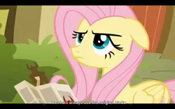 Size: 1024x640 | Tagged: derpibooru import, fluttershy, hindu, hinduism, putting your hoof down, safe, screencap, youtube caption