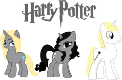 Size: 5572x3663 | Tagged: artist:asdflove, bellatrix lestrange, derpibooru import, harry potter, lucius malfoy, narcissa malfoy, safe, simple background, transparent background, vector