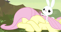 Size: 500x265 | Tagged: angelbetes, angel bunny, animated, comforting, crying, cute, derpibooru import, dirty, fluttershy, hurricane fluttershy, safe, screencap