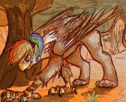 Size: 850x695 | Tagged: safe, artist:feathersandink, derpibooru import, oc, oc:rainbow feather, unofficial characters only, gryphon, everfree forest, interspecies offspring, magical lesbian spawn, offspring, parent:gilda, parent:rainbow dash, parents:gildash, solo
