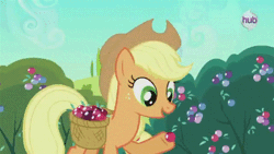 Size: 385x217 | Tagged: safe, derpibooru import, screencap, applejack, earth pony, pony, the crystal empire, spoiler:s03, animated, basket, berries, crystal berries, eating, female, hub logo, mare, puffy cheeks, solo