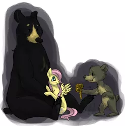 Size: 744x749 | Tagged: safe, artist:cartoonlion, derpibooru import, fluttershy, bear, pegasus, pony, bouquet, cub, cute, filly, flower, gift giving, looking at each other, trio, younger