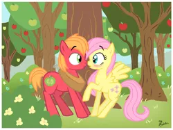 Size: 600x448 | Tagged: safe, artist:thephoebster, derpibooru import, big macintosh, fluttershy, earth pony, pony, blushing, colt, filly, fluttermac, imminent kissing, male, shipping, stallion, straight