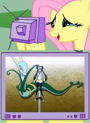 Size: 563x771 | Tagged: safe, derpibooru import, fluttershy, pony, serperior, exploitable meme, meme, pokémon, rosa, tv meme