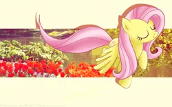 Size: 1280x800 | Tagged: artist:tiffanymarsou, derpibooru import, fluttershy, safe, wallpaper