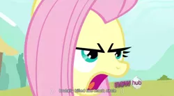 Size: 852x470 | Tagged: derpibooru import, fluttershy, safe, screencap, youtube caption