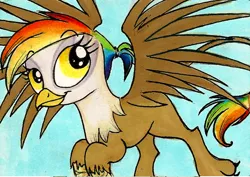 Size: 500x353 | Tagged: safe, artist:foxinshadow, derpibooru import, oc, oc:rainbow feather, unofficial characters only, gryphon, interspecies offspring, magical lesbian spawn, offspring, parent:gilda, parent:rainbow dash, parents:gildash, solo