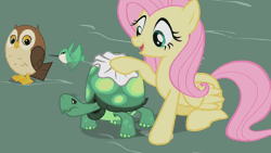 Size: 1280x720 | Tagged: animated, cleaning, derpibooru import, fluttershy, hummingbird, hummingway, loop, may the best pet win, owl, safe, screencap, solo, talking, tank
