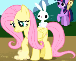 Size: 403x323 | Tagged: angel bunny, animated, cropped, derpibooru import, dust cloud, fluttershy, may the best pet win, owlowiscious, safe, screencap, talking, twilight sparkle