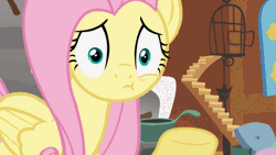 Size: 711x400 | Tagged: safe, derpibooru import, screencap, angel bunny, fluttershy, pegasus, pony, putting your hoof down, abuse, angel is a bunny bastard, animated, book, facebooking, female, flutterbuse, mare