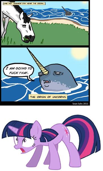 Size: 687x1134 | Tagged: safe, artist:sean sahs, derpibooru import, twilight sparkle, horse, narwhal, unicorn, unicorn twilight, vulgar