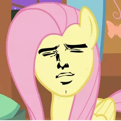 Size: 748x748 | Tagged: derpibooru import, edit, edited screencap, face swap, fluttershy, safe, screencap, yaranaika