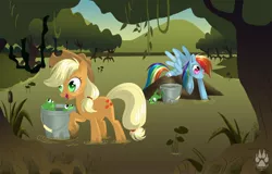 Size: 1600x1024 | Tagged: applejack, artist:nabbiekitty, derpibooru import, frog, froggy bottom bog, rainbow dash, safe