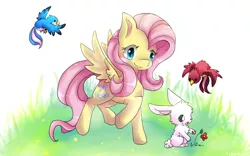 Size: 800x500 | Tagged: safe, artist:cheerubi, derpibooru import, fluttershy, bird, pegasus, pony, rabbit, animal, cute, female, flower, grass, mare, outdoors, raised hoof, shyabetes, smiling, solo, spread wings, three quarter view, wings