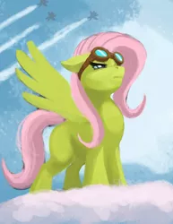 Size: 612x792 | Tagged: safe, artist:hattonslayden, derpibooru import, fluttershy, pegasus, pony, aviator goggles, female, goggles, mare, solo, spread wings, wings