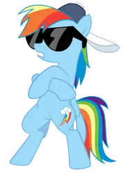 Size: 2980x4213 | Tagged: artist:erockertorres, derpibooru import, hat, may the best pet win, rainbow dash, safe, simple background, sunglasses, transparent background, vector