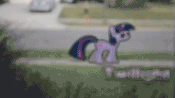 Size: 356x200 | Tagged: animated, artist:oppositebros, derpibooru import, irl, photo, ponies in real life, safe, street, twilight sparkle