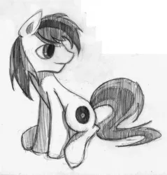 Size: 700x732 | Tagged: artist needed, source needed, safe, derpibooru import, oc, unofficial characters only, earth pony, pony, grayscale, looking back, male, monochrome, simple background, sitting, solo, stallion, traditional art, white background