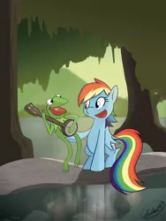 Size: 900x1200 | Tagged: dead source, safe, artist:adamrbi, derpibooru import, rainbow dash, amphibian, frog, pegasus, pony, banjo, crossover, duo, kermit the frog, musical instrument, rainbow connection, the muppets