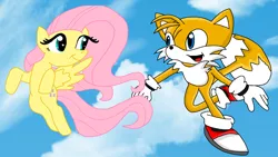 Size: 900x508 | Tagged: artist:fresh-cherry-blossom, crossover, crossover shipping, derpibooru import, female, fluttershy, fluttertails, interspecies, male, safe, shipping, sonic the hedgehog (series), straight