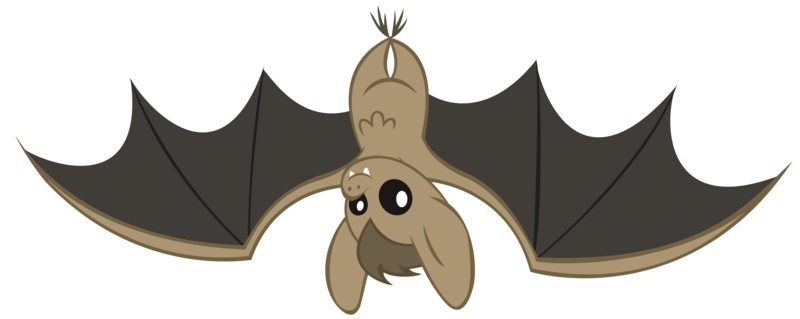 Size: 10000x3985 | Tagged: animal, artist:danton-damnark, bat, dead source, derpibooru import, may the best pet win, safe, simple background, spread wings, transparent background, vector, wings