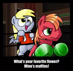 Size: 607x590 | Tagged: safe, artist:zicygomar, derpibooru import, big macintosh, derpy hooves, earth pony, pegasus, pony, boxing, boxing gloves, crossover, cute, derpabetes, dialogue, doc louis, duo, little mac (punch out), middle mac, nintendo, parody, punch out