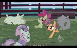 Size: 640x400 | Tagged: apple bloom, cutie mark crusaders, derpibooru import, family appreciation day, safe, scootaloo, screencap, sweetie belle, youtube caption