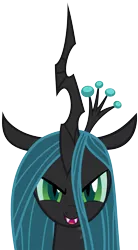 Size: 3113x5637 | Tagged: safe, artist:archonitianicsmasher, derpibooru import, queen chrysalis, changeling, changeling queen, a canterlot wedding, bust, fangs, female, frown, grin, image, looking at you, png, portrait, show accurate, simple background, slit eyes, smiling, solo, transparent background, vector