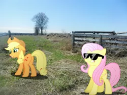 Size: 3648x2736 | Tagged: suggestive, artist:hachaosagent, derpibooru import, applejack, fluttershy, pony, high res, irl, photo, ponies in real life, sunglasses, vector